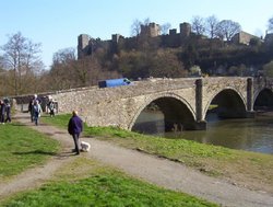 Ludlow Castle and Dinham Bridge over the River Teme Wallpaper