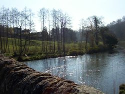 The River Teme at Ludlow Wallpaper