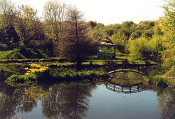 Bennets Water Gardens Wallpaper