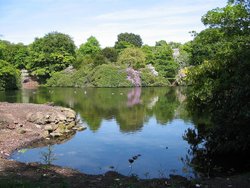 A view of the lake in Corporation Park, Blackburn. Wallpaper