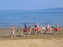 Donkey Ride, South Beach, Scarborough
