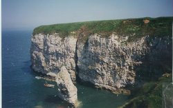Bird Sanctuary at Flamborough Wallpaper
