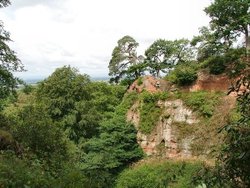 Woodland Paths and Sandstone Outcrops.