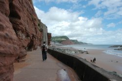 Cliffs at Sidmouth Wallpaper