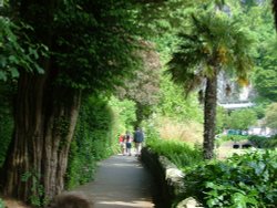 village walk Wallpaper