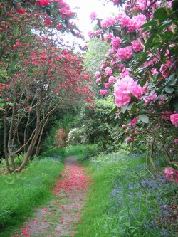 Chatsworth House, Garden