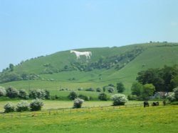 Westbury white horse Wallpaper