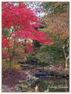 Autumn Comes to Exbury Gardens in Hampshire. Have a wonderful day out.