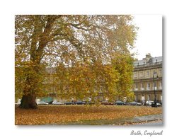 The Circus Wallpaper