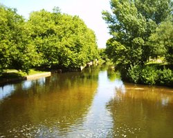 Taunton, Somerset Wallpaper