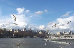 Thames river near London Eye Wallpaper