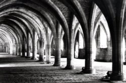 Fountains Abbey , Near Ripon North Yorkshire Wallpaper