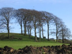 Hartshorne, Derbyshire - Hilltop nr. Manor Farm