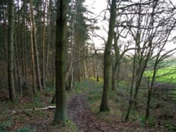 Hartshorne, Derbyshire: Manor Farm Woodland Walk