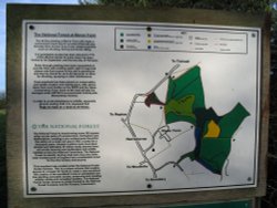 Nat. Forest info