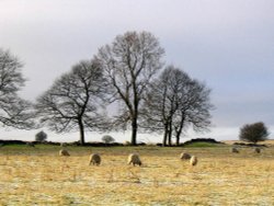 Middleton by Wirksworth, Derbyshire: Winter on Middleton Moor