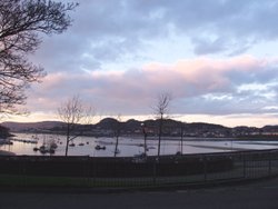 The Harbour at Conwy, Gwnedd Wallpaper