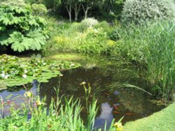 Dorothy Clive Garden, Staffordshire