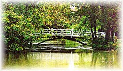 Bridge over the Wey Wallpaper