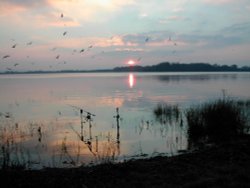 Sunset at Bough Beech Reservoir