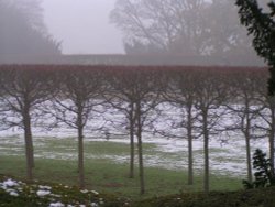 Chatsworth House & Gardens in winter Wallpaper