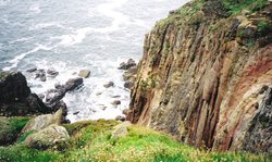 Lands End, Cornwall Wallpaper