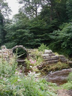 A picture of Fountains Abbey