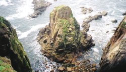 Taken from a rope bridge at Lands End Wallpaper