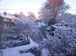 Snow at The Rise Wallpaper