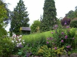 Chalice Garden Wallpaper