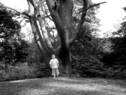 Stockgrove Country Park Wallpaper