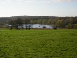 Watford, Herts