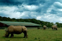Whipsnade Zoo