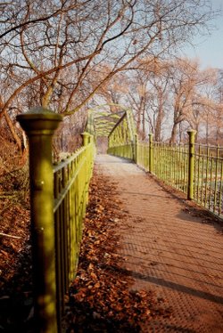 Nature Walk, Didsbury