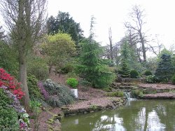 Walton Gardens, Cheshire Wallpaper