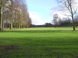 Marbury Park, Cheshire Wallpaper