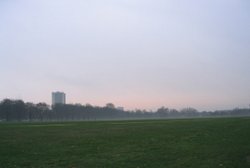 Hyde Park, London, in the early morning Wallpaper