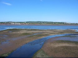 Exmouth, Devon Wallpaper