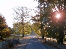 Sudely Drive, Winchcombe, Glos Wallpaper