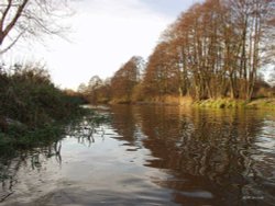 Down River from the Brandon Staunch Wallpaper