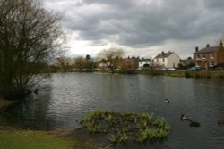 Esher west end green