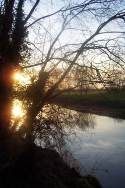 Ferry Meadows