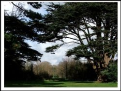 The Lovely grounds of Royal Victoria Country Park, Hampshire Wallpaper