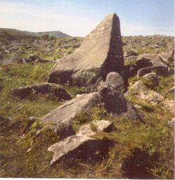 Belstone Bell