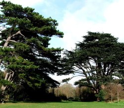 Another lovely view of Royal Victoria Country Park, Netley, Hampshire Wallpaper