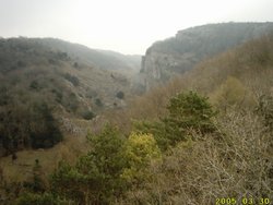 Cheddar Gorge from observation tower at the top of Jacob's Ladder Wallpaper