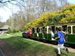 The fun train at Royal Victoria Country Park, Hampshire Wallpaper