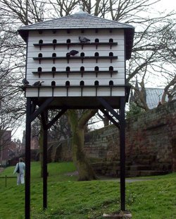 Chester City Council, Pigeon Coop, Chester,  Cheshire
