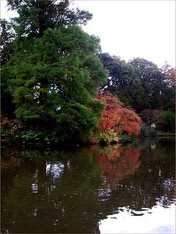 Exbury Gardens, Hampshire