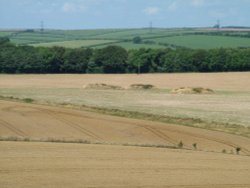 Round barrows, Winterbourne Abbas, Dorset Wallpaper